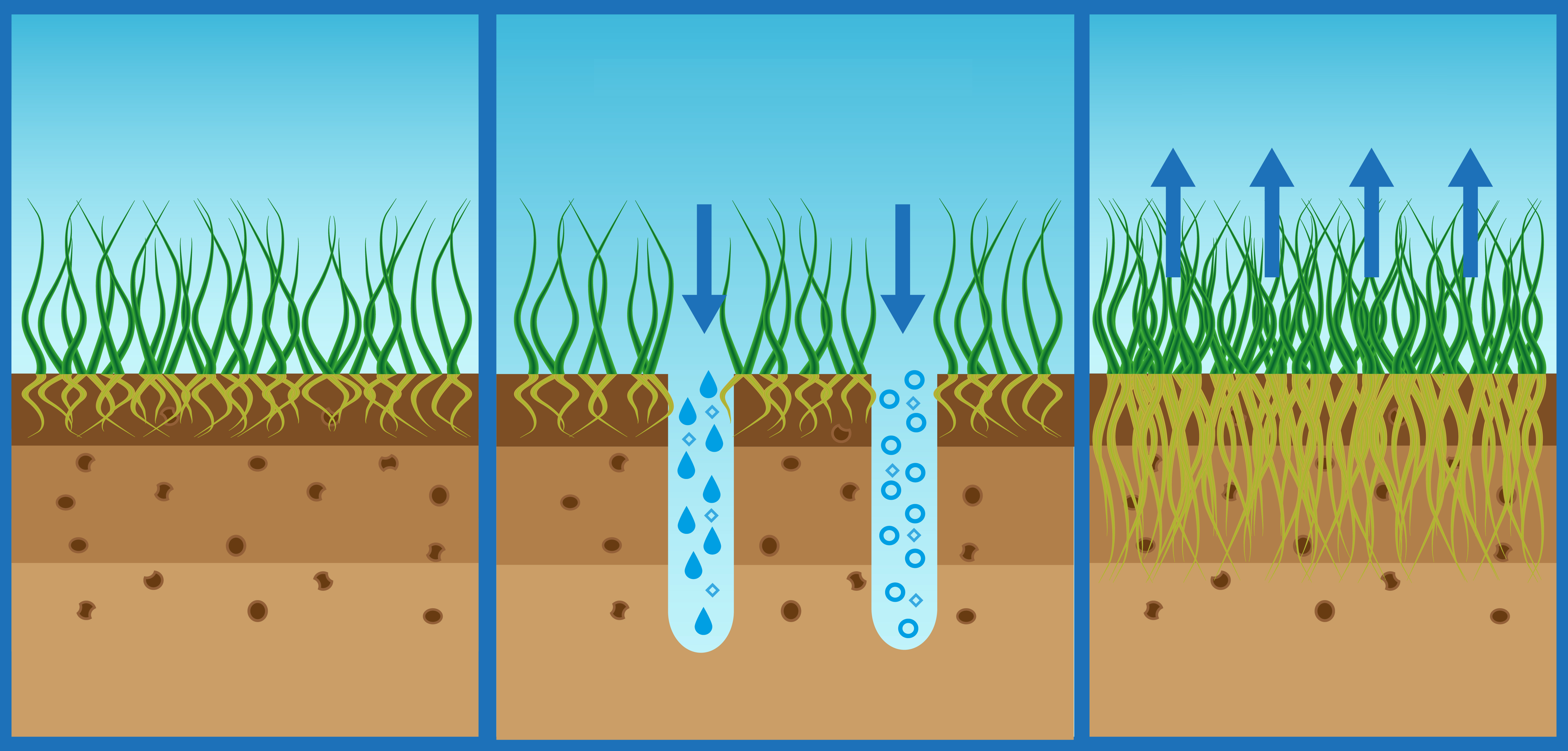 Rollrasenpflege, Rasenpflege, Rollrasenexperte, Garten, Gartenpflege, Profirasen, Rasen, Rasenexperte, Rasenblog, Blog, Blogbeitrag, Rasenwissen, Rasentipps, Aerifizieren, Aerifizierer, Rasenboden, Boden lockern, Boden lüften, Sand, Rasensand