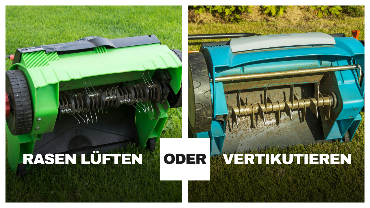Rollrasenpflege, Rasenpflege, Rollrasenexperte, Garten, Gartenpflege, Profirasen, Rasen, Rasenexperte, Rasenblog, Blog, Blogbeitrag, Rasenwissen, Rasentipps, Rasenlüfter, Vertikutierer, Vertikutieren