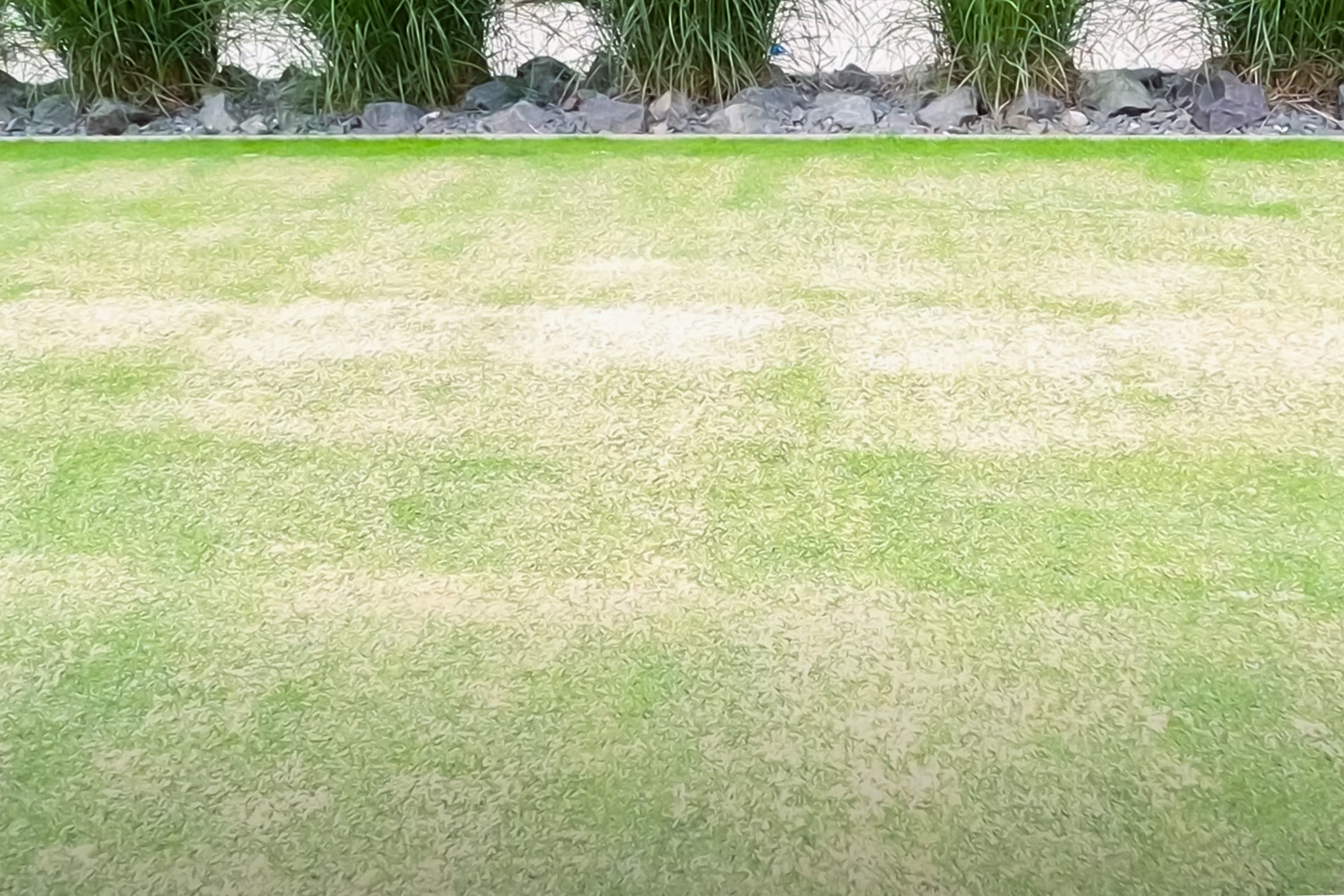 Rollrasenpflege, Rasenpflege, Rollrasenexperte, Garten, Gartenpflege, Profirasen, Rasen, Rasenexperte, Rasenblog, Blog, Blogbeitrag, Rasenwissen, Rasentipps, Rasensand, Rasen sanden, Sand, Quarzsand