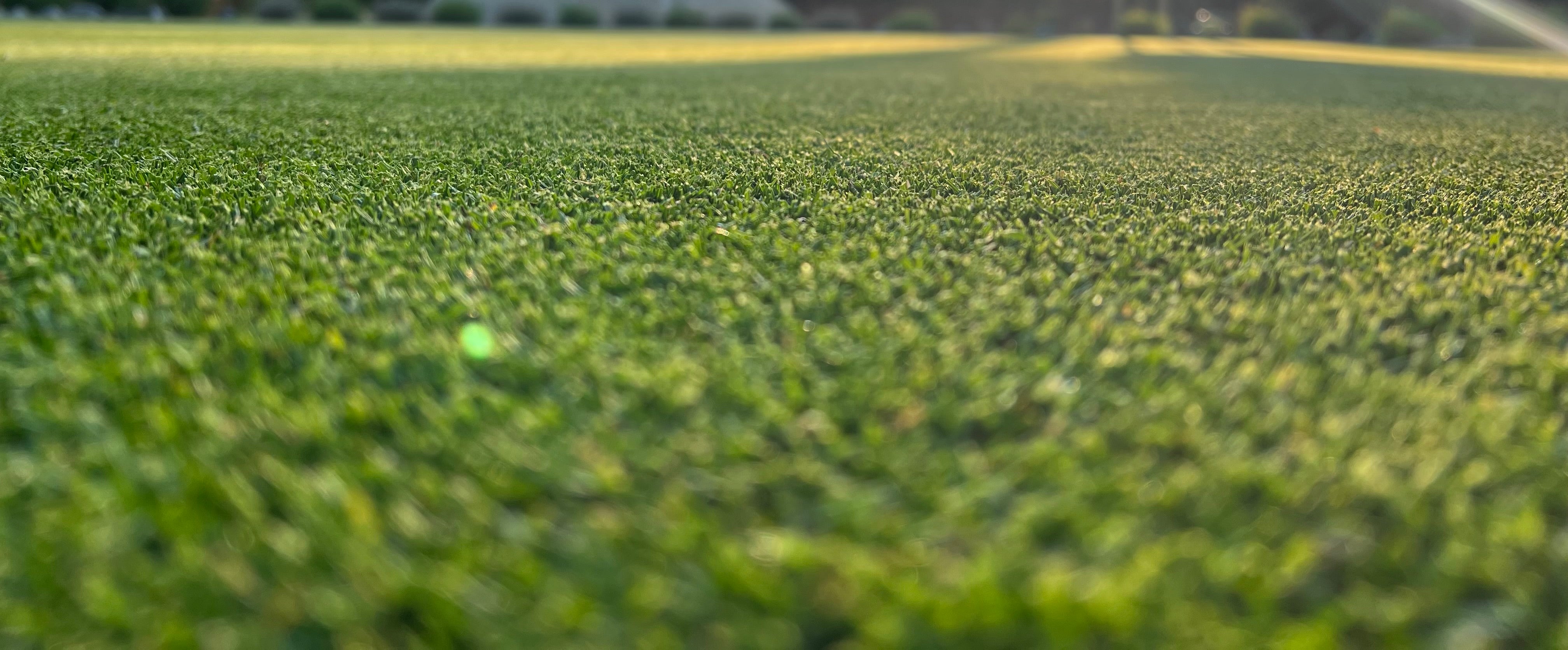 Sauberer Rasenschnitt