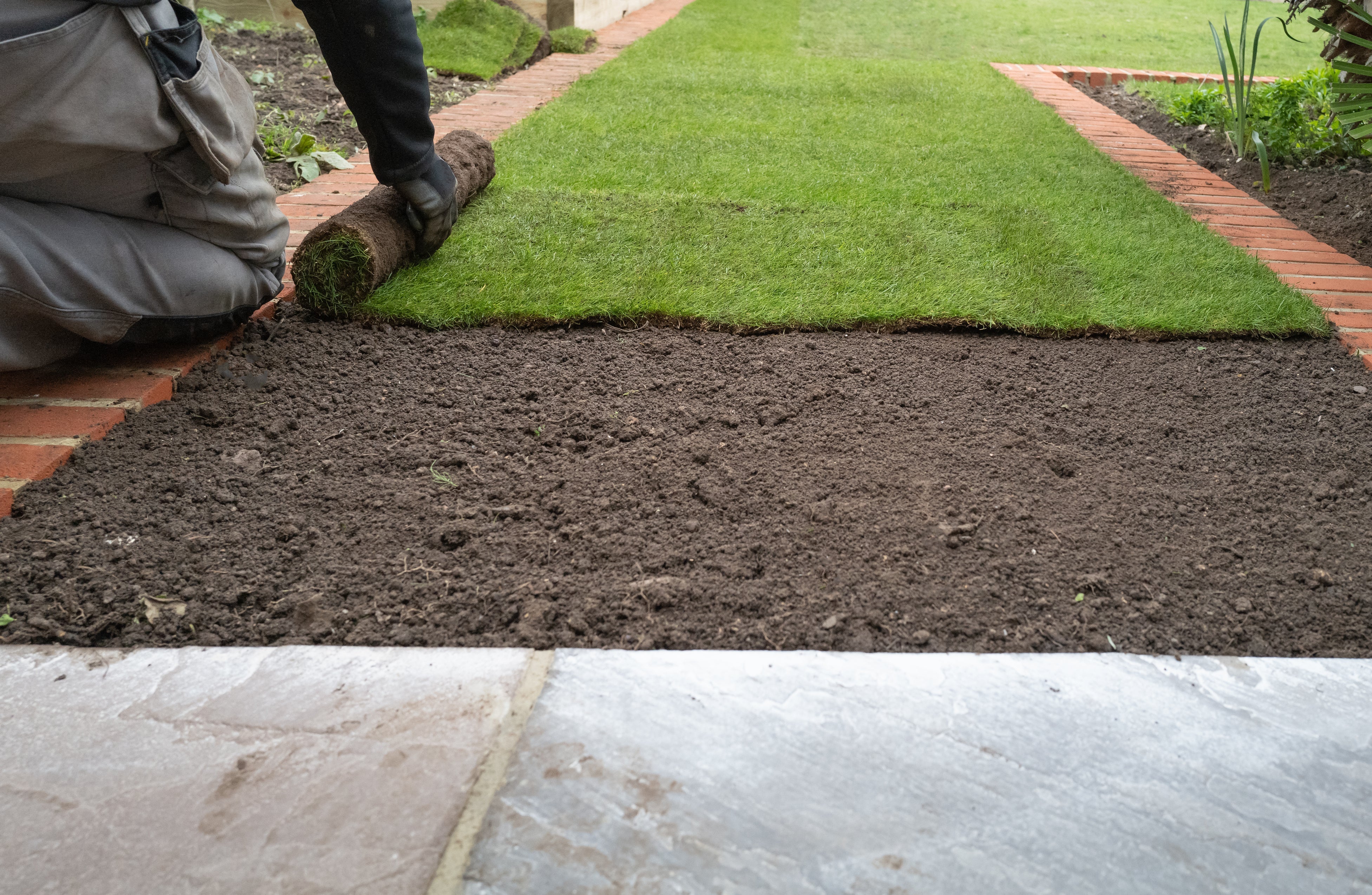Rollrasenpflege, Rasenpflege, Rollrasenexperte, Garten, Gartenpflege, Profirasen, Rasen, Rasenexperte, Rasenblog, Blog, Blogbeitrag, Rasenwissen, Rasentipps, 