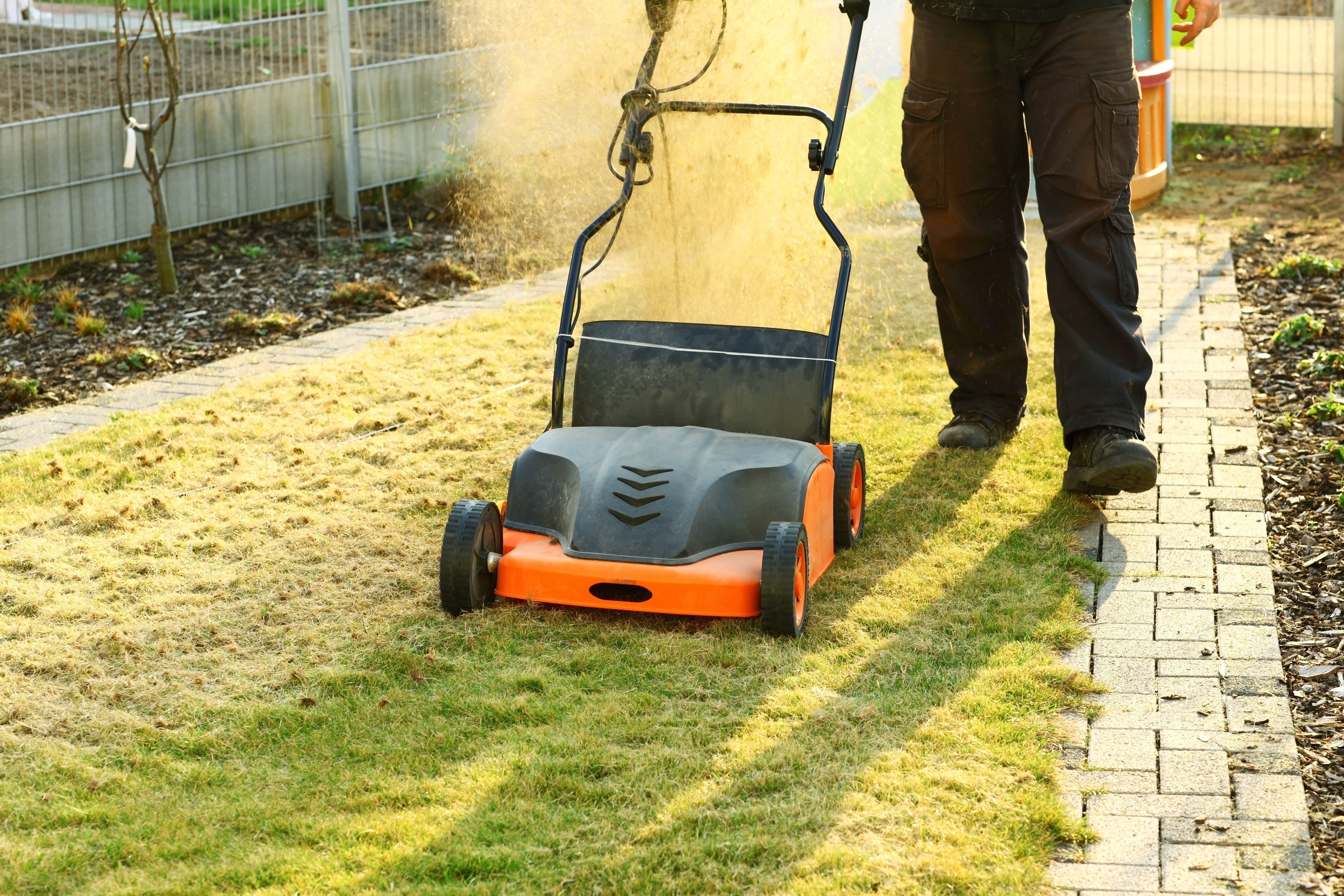 Rollrasenpflege, Rasenpflege, Rollrasenexperte, Garten, Gartenpflege, Profirasen, Rasen, Rasenexperte, Rasenblog, Blog, Blogbeitrag, Rasenwissen, Rasentipps, Vertikutieren, Vertikutierer