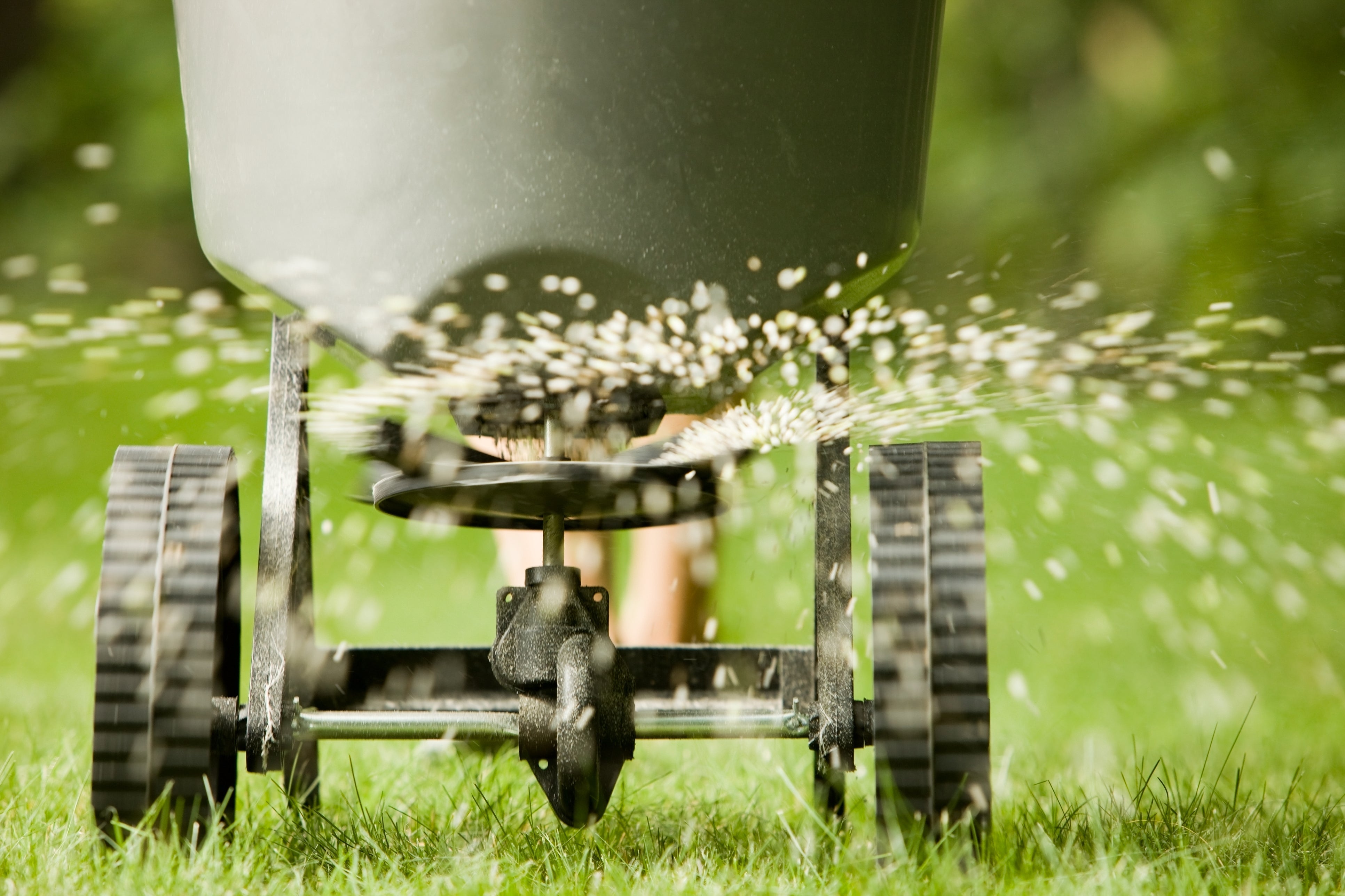 Rollrasenpflege, Rasenpflege, Rollrasenexperte, Garten, Gartenpflege, Profirasen, Rasen, Rasenexperte, Rasenblog, Blog, Blogbeitrag, Rasenwissen, Rasentipps, Rasendünger, Rasen düngen