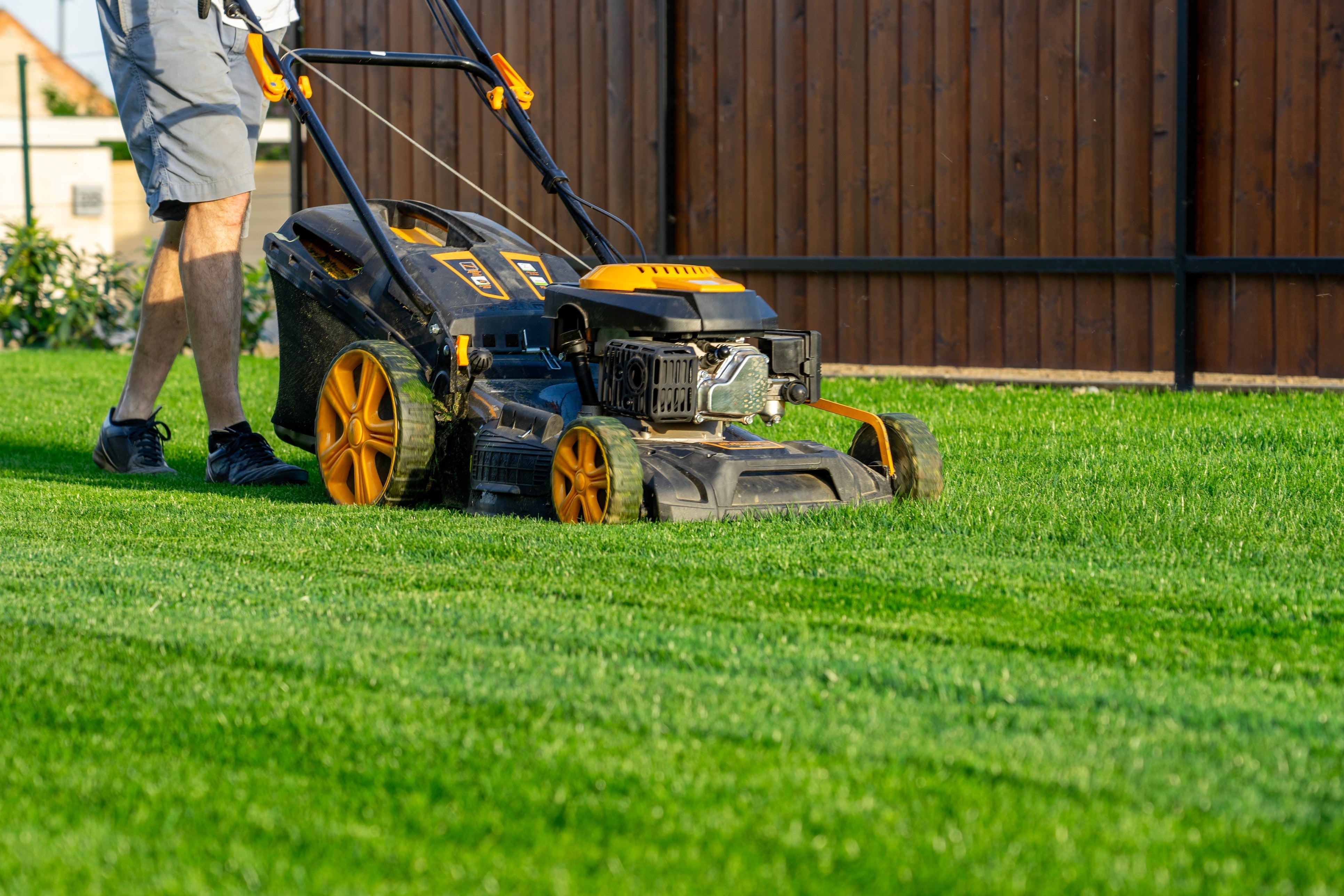 Rollrasenpflege, Rasenpflege, Rollrasenexperte, Garten, Gartenpflege, Profirasen, Rasen, Rasenexperte, Rasenblog, Blog, Blogbeitrag, Rasenwissen, Rasentipps, Rollrasen mähen, Rasenmähen, Rasenmäher