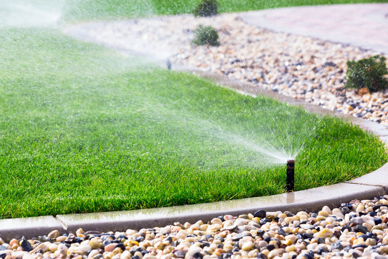 Rollrasenpflege, Rasenpflege, Rollrasenexperte, Garten, Gartenpflege, Profirasen, Rasen, Rasenexperte, Rasenblog, Blog, Blogbeitrag, Rasenwissen, Rasentipps, Wasser, Wässern, Rasenbewässerung