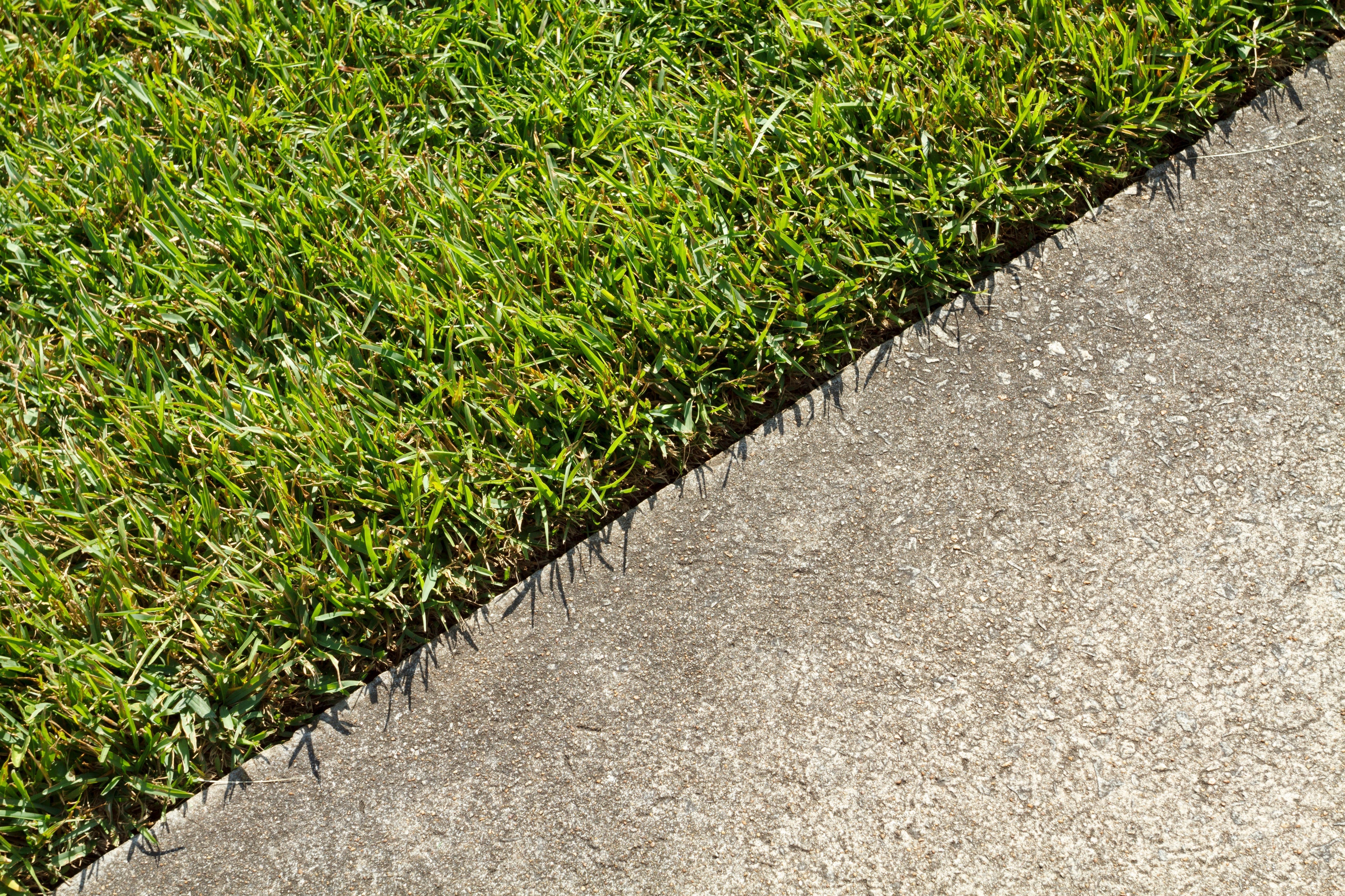 Rollrasenpflege, Rasenpflege, Rollrasenexperte, Garten, Gartenpflege, Profirasen, Rasen, Rasenexperte, Rasenblog, Blog, Blogbeitrag, Rasenwissen, Rasentipps, Rasenkante, Rasenkanten, Rasenkantenschneider