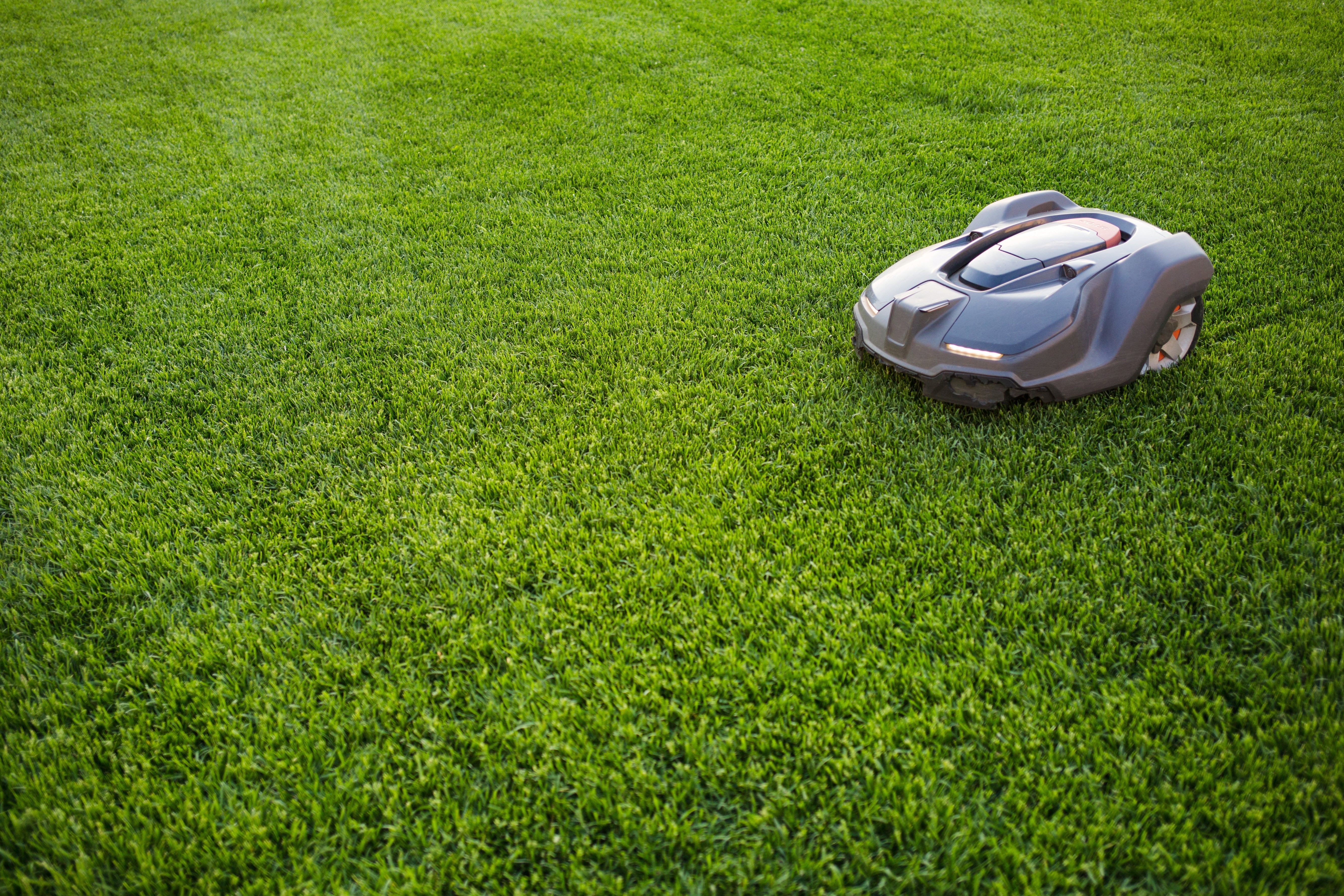 Rollrasenpflege, Rasenpflege, Rollrasenexperte, Garten, Gartenpflege, Profirasen, Rasen, Rasenexperte, Rasenblog, Blog, Blogbeitrag, Rasenwissen, Rasentipps, Mähroboter, Rasenmäher, Rasenmähen, Roboter, Gardena, Husqvarna, Worx, Mammotion