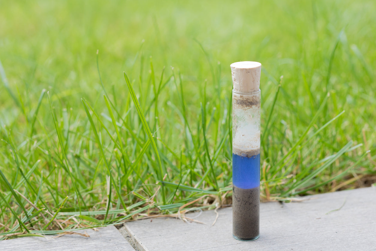 Rollrasenpflege, Rasenpflege, Rollrasenexperte, Garten, Gartenpflege, Profirasen, Rasen, Rasenexperte, Rasenblog, Blog, Blogbeitrag, Rasenwissen, Rasentipps, pH-Wert