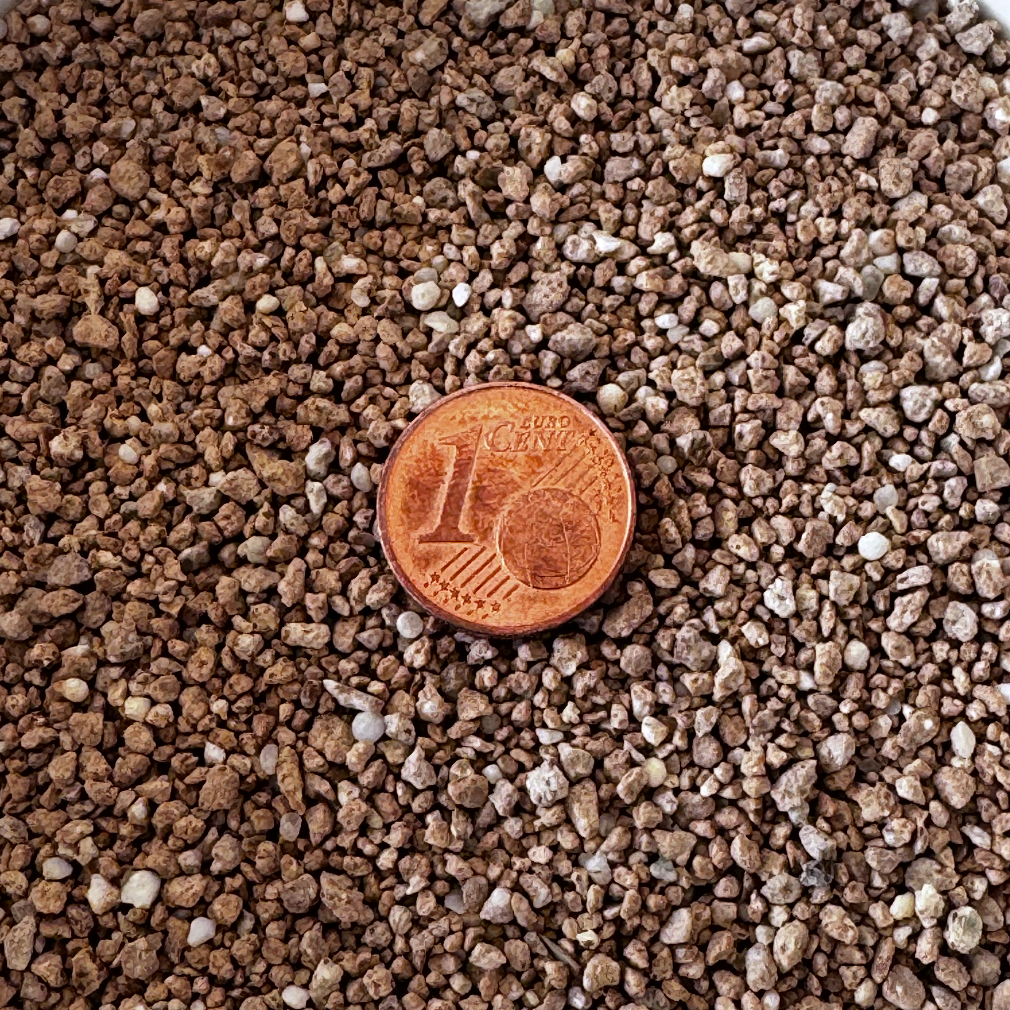 Professioneller Frühjahrsdünger