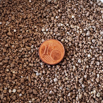 Professioneller Frühjahrsdünger